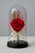 Eternal Rose Glass Dome Gift: Enchanted Red Rose Flower with Fairy Lights